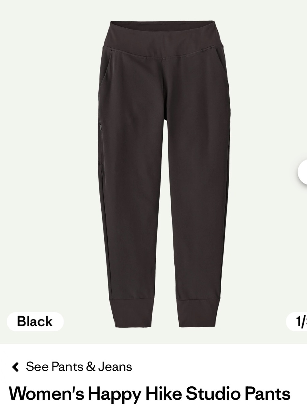 Patagonia Happy Hike Pants